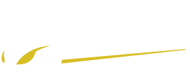 LSR Transport LLC